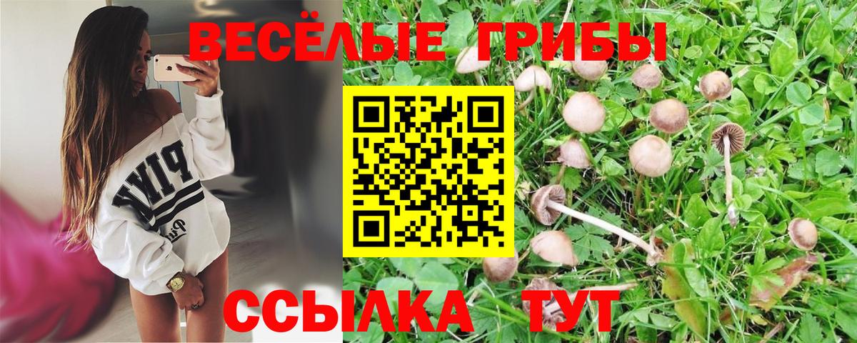 Галлюциногенные грибы Psilocybe  Вход с VPN  Галлюциногенные грибы ЛСД  Чапаевск 