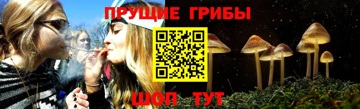 Галлюциногенные грибы мухоморы Чапаевск